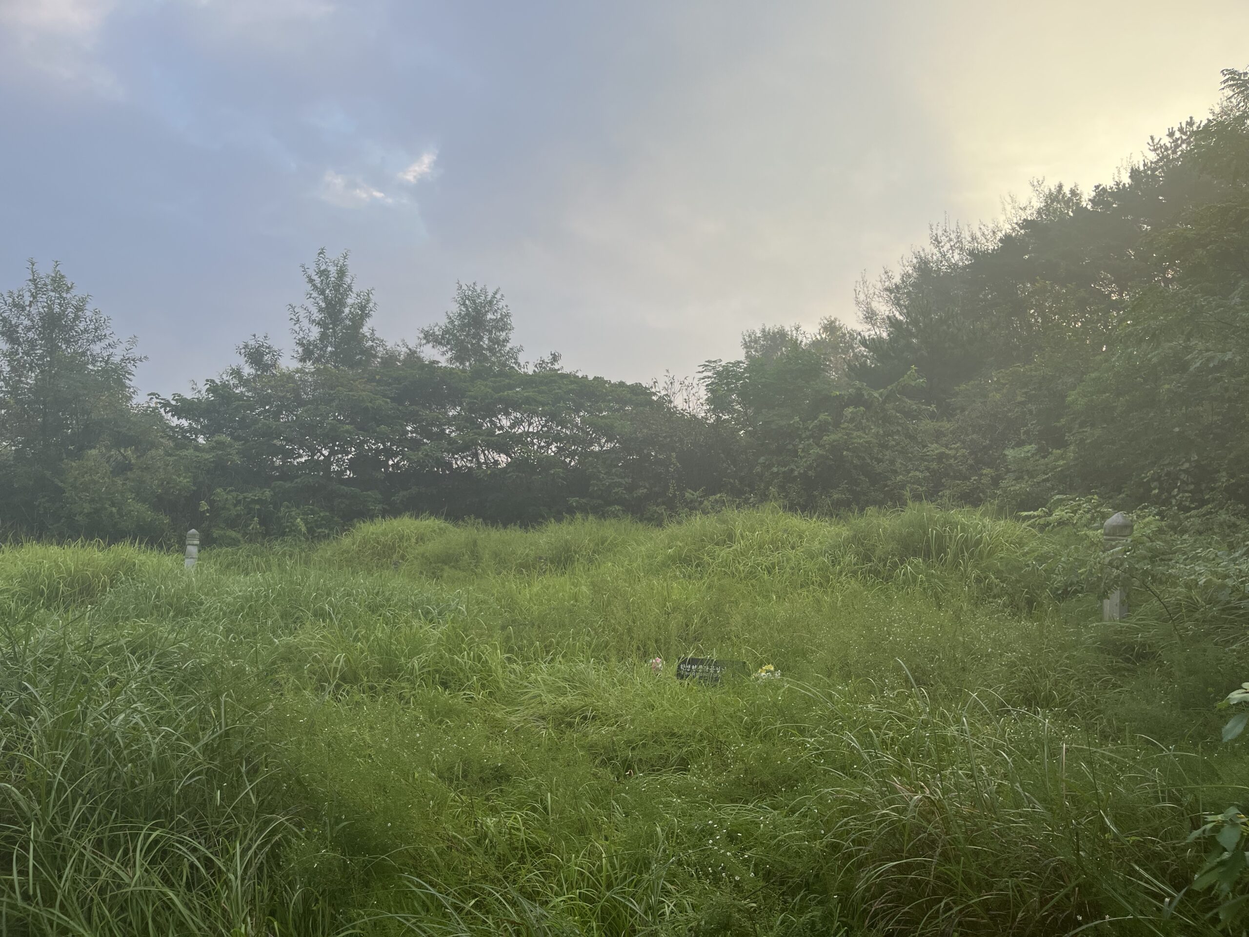 벌초 작업 전 산소 상태